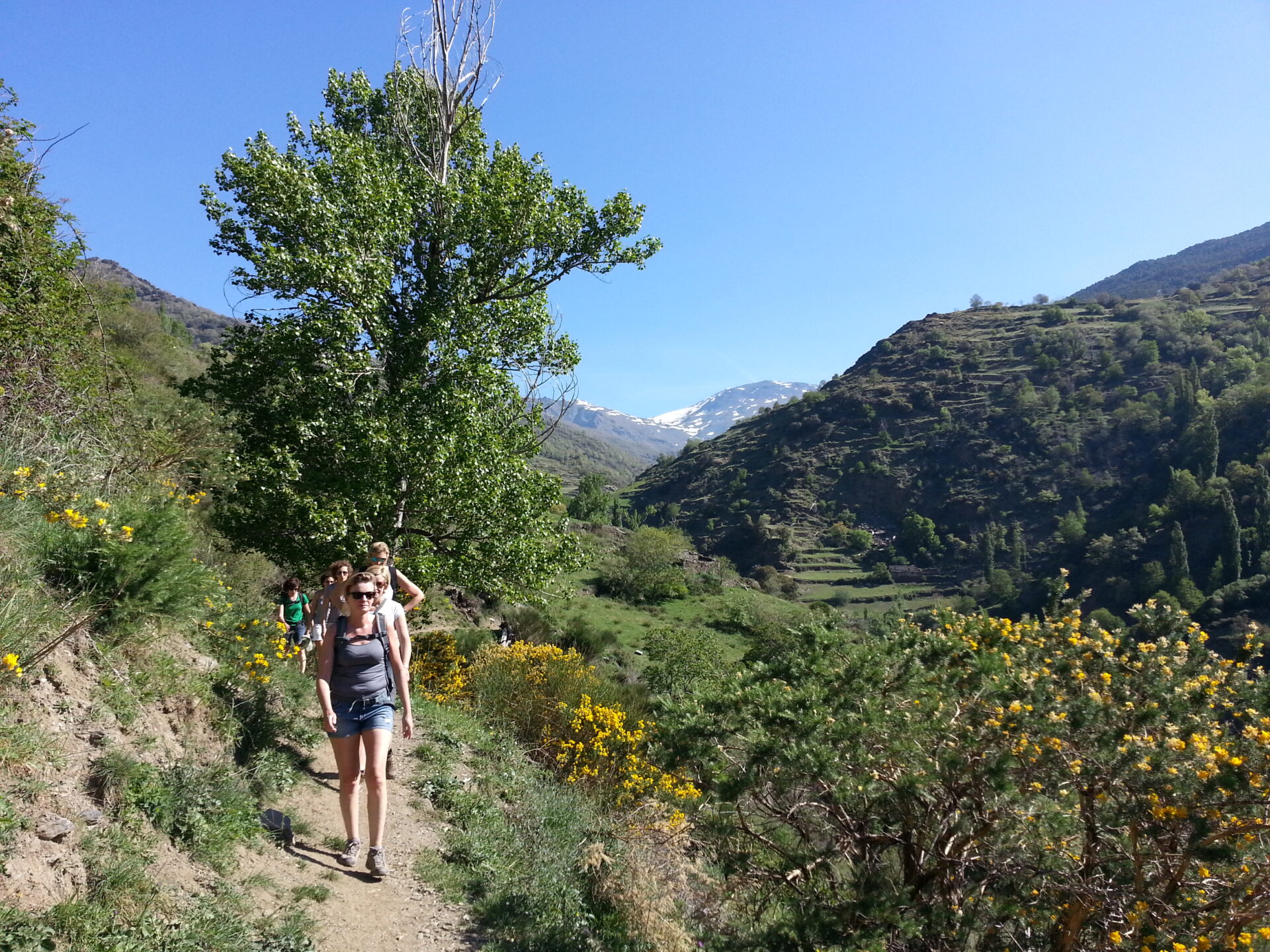 Trekking Alpujarra