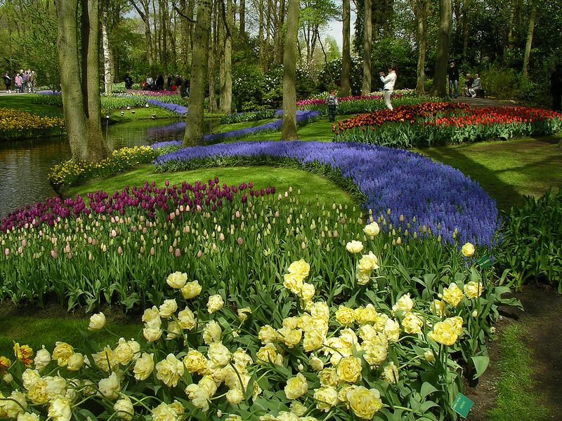 Keukenhof, el gran parque de flores