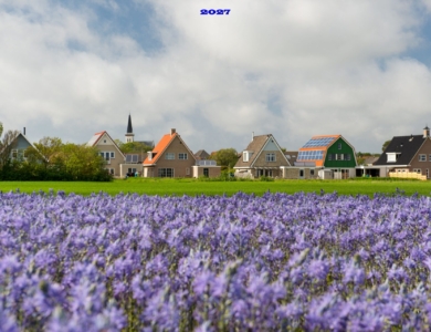 Holanda. El Norte y la Isla Texel en barco-bici
