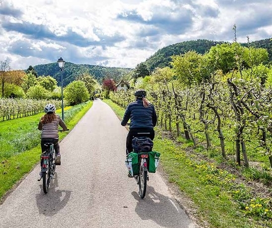 Danubio: En bici con los niños de Linz a Viena