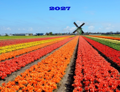 Holanda. Los Tulipanes de Holanda en barco-bici