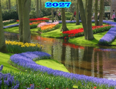 Holanda: en bici por los campos de tulipanes (abril-mayo)