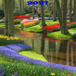 Holanda: en bici por los campos de tulipanes (abril-mayo)