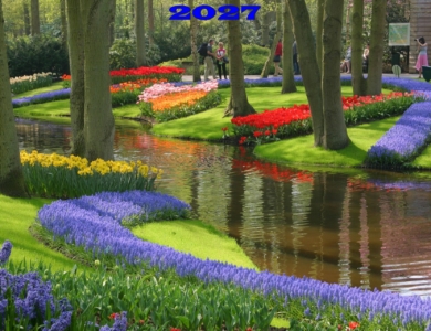 Holanda: en bici por los campos de tulipanes (abril-mayo)