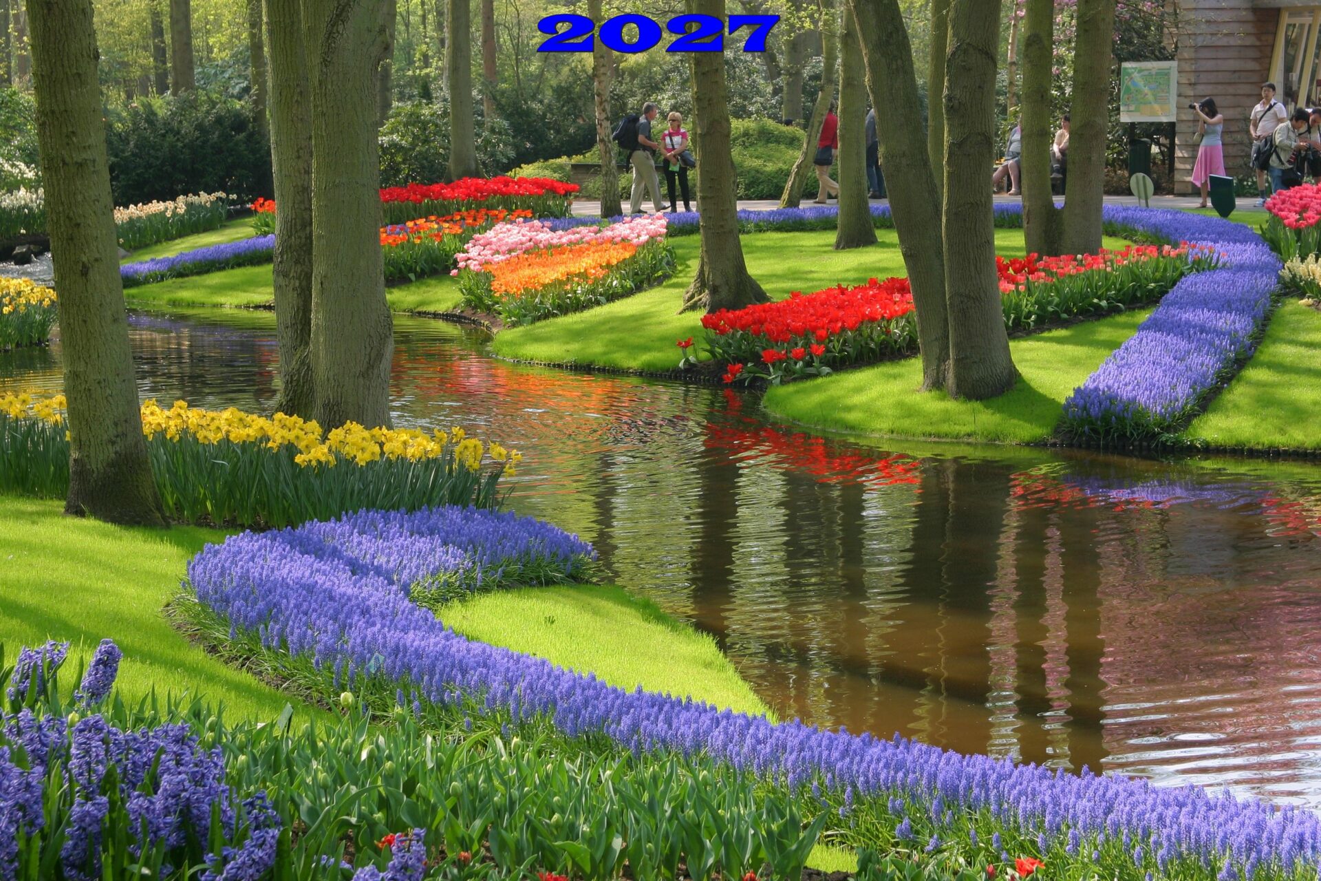 Holanda: en bici por los campos de tulipanes (abril-mayo)