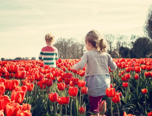 Al Norte de Holanda en bici: niños en campos de tulipanes