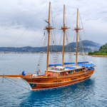 Día 1. Marina Zeas (El Pireo/Atenas) – (Embarque)