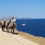 Día 5:  Islas de Spetses e Hidra (aprox. 25 km)