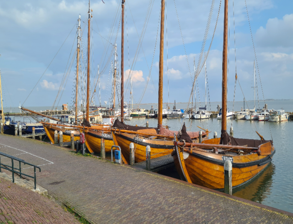 Norte de Holanda y la isla Texel en barco-bici