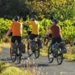 Día 7:  Montauban – Toulouse, 61 km, 69 m ↑