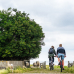 Día 7: Makkum – Stavoren (32-49 km) | navegas a Enkhuizen