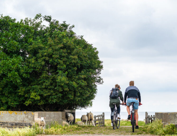 Lago IJsselmeer y el mar de Wadden en velero y bicin Hindeloopen
