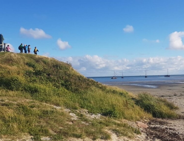 Lago IJsselmeer y el mar de Wadden en velero y bici