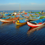 Día 7:   Furadouro a Mira.  Tradicional pesca artesanal portuguesa